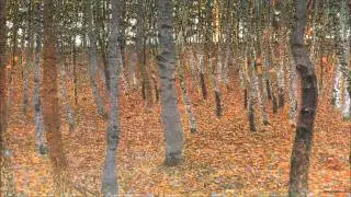 Franz Schmidt - Piano Concerto in E-flat major for the left hand (1934)