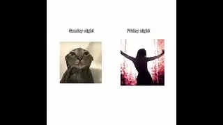 I hate it when its sunday night but i love it when its friday night #meme #memecut
