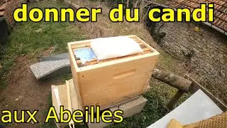 comment donner du candi aux Abeilles