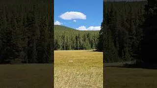 We All Need This View On The Colorado Trail