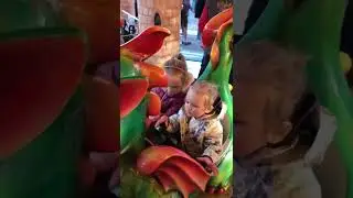 Dragon is about to depart