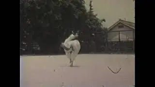 Legendary Karate Master, Yoshio Someya