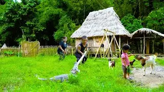 Dwarf Family: Gardening On The Farm Interrupted By A Crocodile Breaking Fences & Attacking Livestock