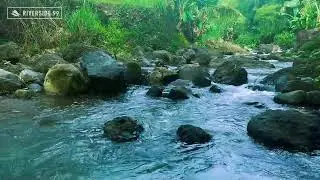 Deep Sleep River Sounds | Soft Flowing Water White Noise for Relaxation and Calm