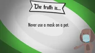 Fact or Fiction: Pets Spread Coronavirus
