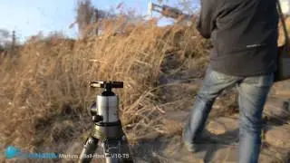 Markins Ball-Head V10-T5_Filmnara
