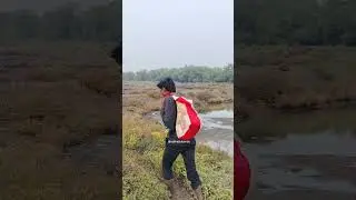 Crab hunting 😋🤳 #trending #shorts #food #foodie