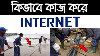 ইন্টারনেট কিভাবে কাজ করে ? ইন্টারনেট এর মালিক কে ? || আপনি কি জানেন ? || target 365