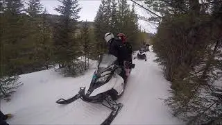 White Mountain Snowmobile Tours - Denver, Colorado HD 2017
