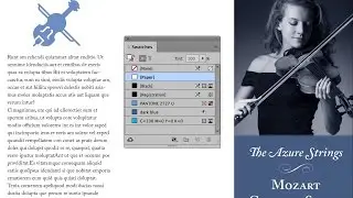 duotone icon