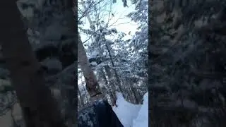 The best way to come down a mountain! #nh48 #nh48winter #peakbagging 🥶❄️🏔️