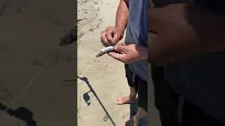 Drone Fishing baiting up at Goleta beach