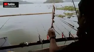 Mancing jati gede spot buah ngariung