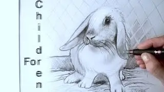 Easy RABBIT for beginners graphite Pencil drawing