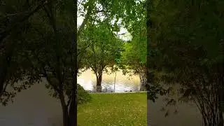 Lake view relaxation #shorts #lakeview #nature