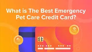 What is The Best Emergency Pet Care Credit Card?