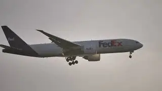 Plane Spotting -- Oakland San Francisco Bay Airport -- Feb 1, 2026