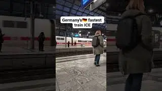 which one do you prefer ICE Or regional? #germany #train #goviral