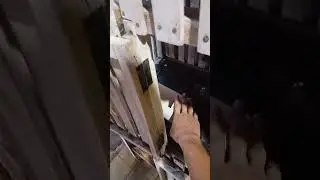 Persiapan Pindah Kucing Ke BTN Baru - Gala, Yin, Yang, Pio, Snowy, & Flow