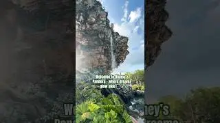 I Visited the Avatar Pandora Experience at Disney