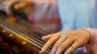 Pipa (琵琶) Chinese Music (by BROTHER'S KALAKAAR 7.2 ) #MUSIC #VIRAL #TRENDING #MUSIC #BEAT 