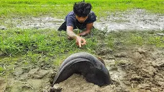 Underground Big Fish Come Out & Small Fish Hole Best Fishing Video In River Banks. Hand Fishing