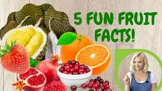 5 FUN FRUIT FACTS! - IVY TV for kids