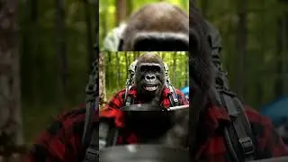 First Vlog ! Greg the Gorilla #vlog #insolite