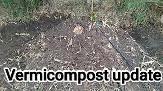 0518 - Vermicompost update
