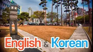 [4K] Learn practical Korean while walking on the streets of Korea 걸으면서 배우는 실전 영어