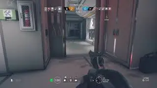 Sassed
