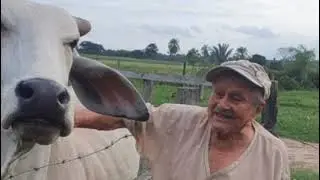 A DON ANTONIO DURAN (carnaval)