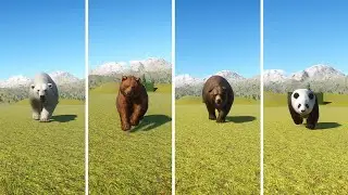 Bear Race in Planet Zoo - F. Black Bear, Giant Panda, Grizzly Bear, Himalayan Brown Bear, Polar Bear