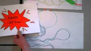Sliding Filament Theory Step by Step