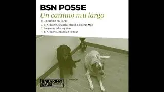 BSN Posse - I'm gonna take my time