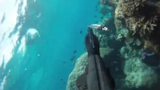 Clinton Bolton spearfishing