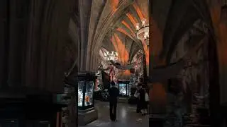 Warner Bros. Harry Potter🪄 ワーナー ブラザース ハリー・ポッター🪄　#harrypotter #tokyo #vlog