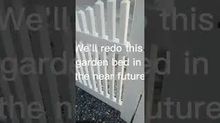 Yard rehab