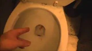 Will It Flush? - Candy Cane