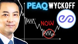 Peaq Seeking All Time Low? (PEAQ) Wyckoff Price Prediction (Nov 03, 2025)