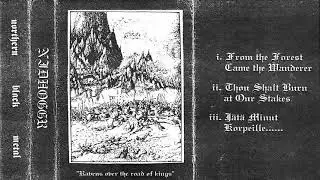 Nidhoggr - From The Forest Came The Wanderer