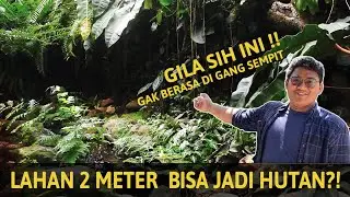 SOLUSI LAHAN SEMPIT, BIKIN TAMAN HUTAN DI RUMAH | Rain Forest Garden By Isti Anggana Landscape