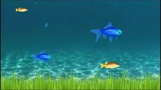 After Effects (aquarium animation)