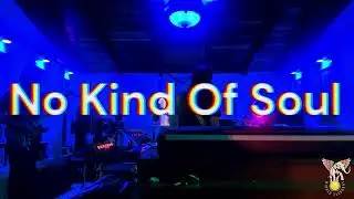 Winged Elephant - No kind of soul (studio performance video)