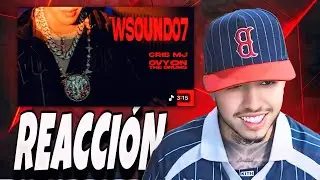 WESTCOL REACCIONA SOBRE WSOUND 07 &iquest;HIT O FRAUDE?
