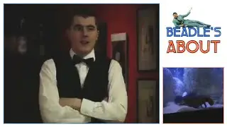 Beadle's About - Lobster Liberation Front