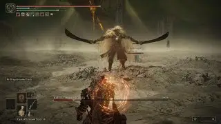 ELDEN RING Beat the game with help