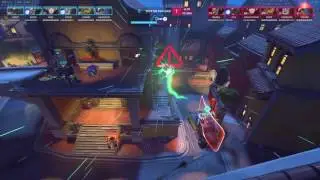 Pro Pugs