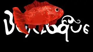 Drawing a Tropical Fish! 🌊🐠..