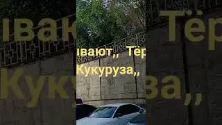Музыка: WheneverМузыкант: LiQWYDURL:  
